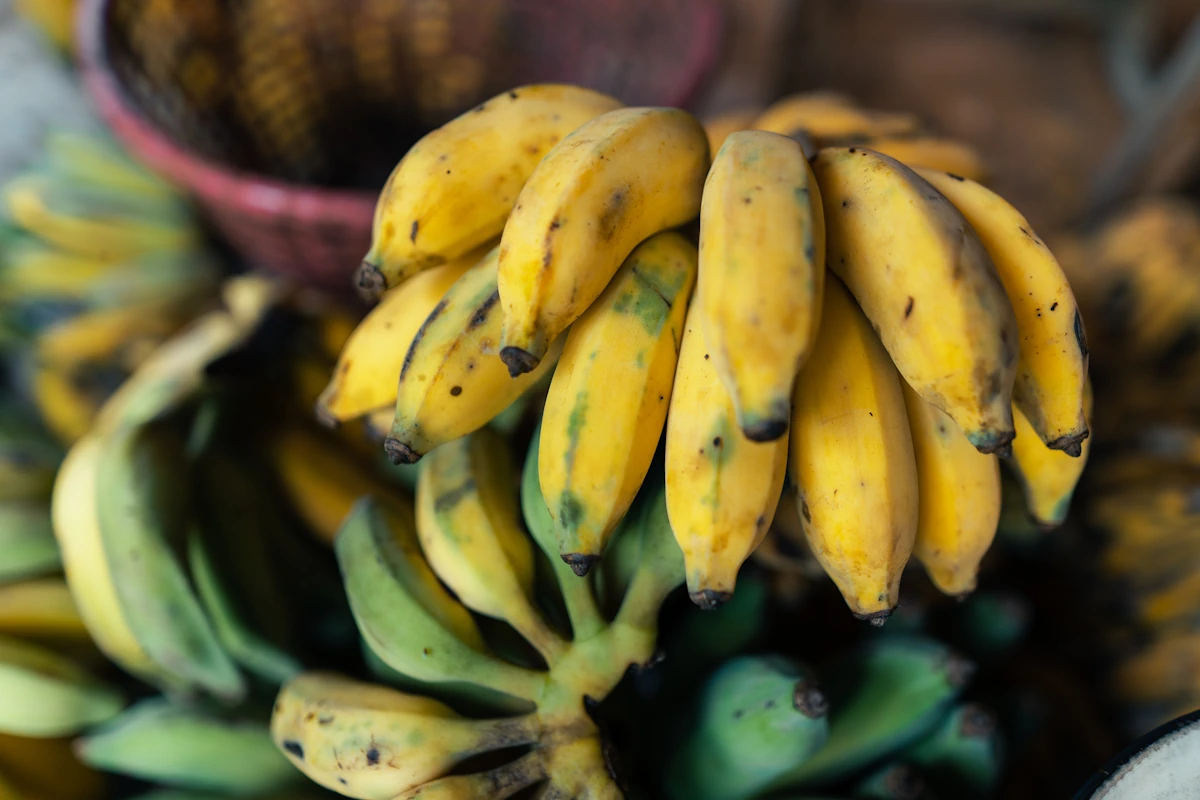Bananes des Antilles : peut-on les consommer sans risque pour la santé