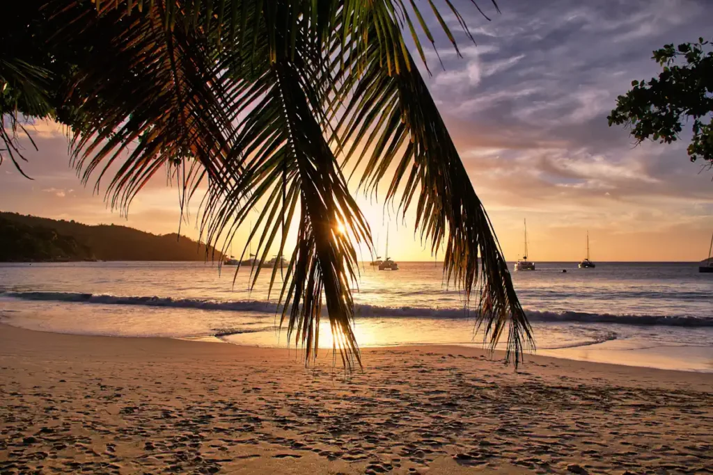 Voici quand partir aux Antilles