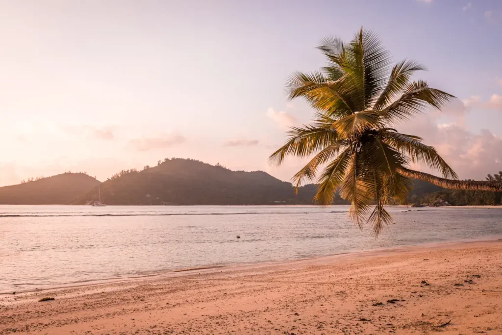 Voici quel budget prévoir pour les Antilles