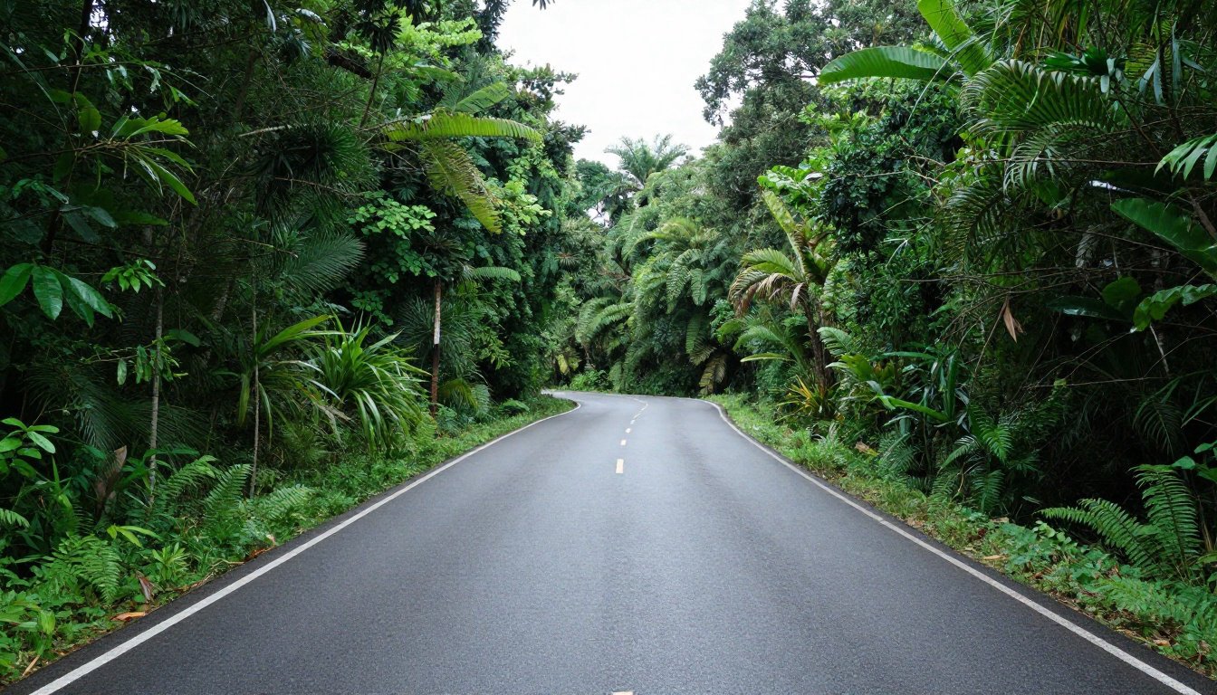 Comment la superficie influence-t-elle vos déplacements ?