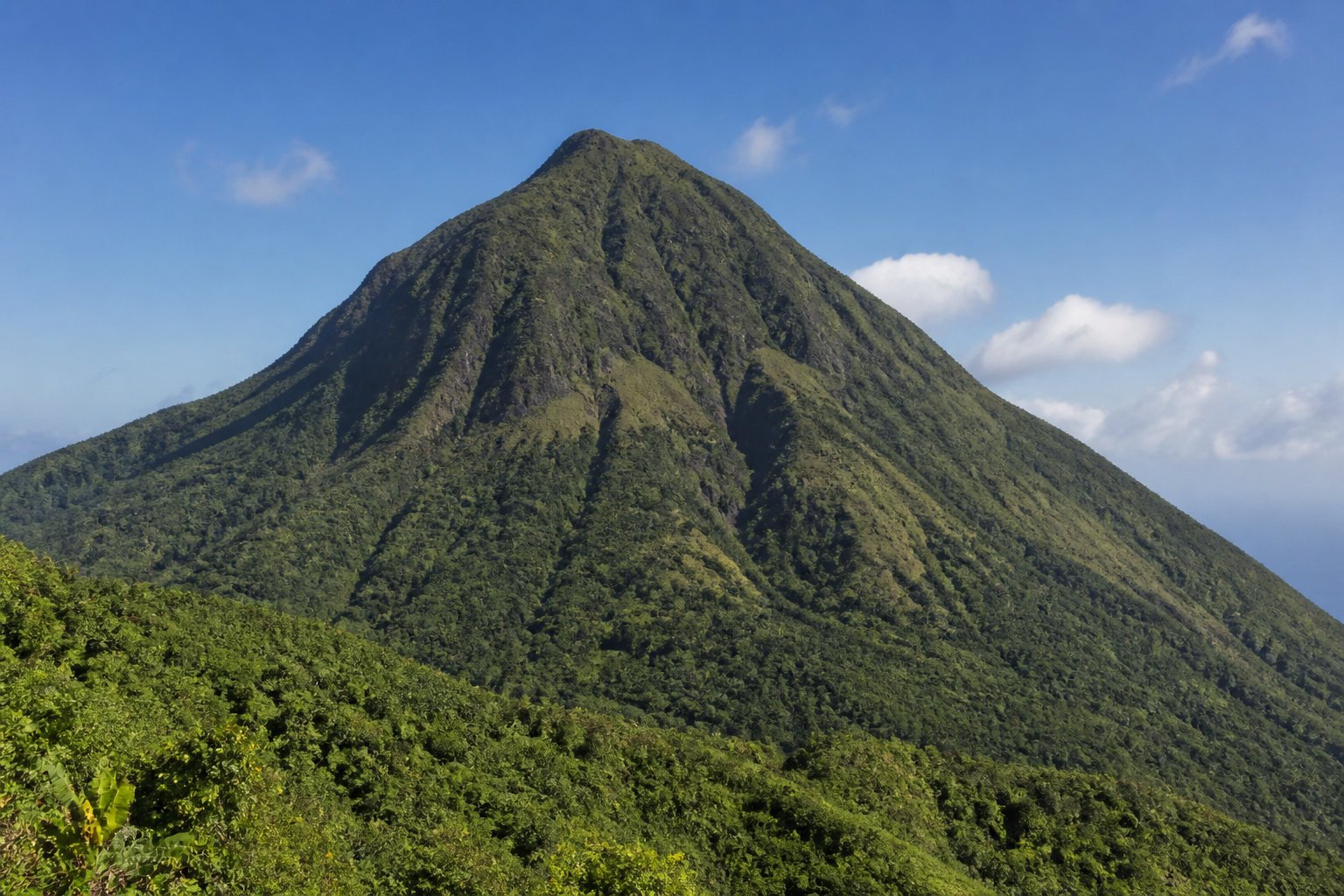 Les merveilles sauvages de la Basse-Terre guadeloupéenne