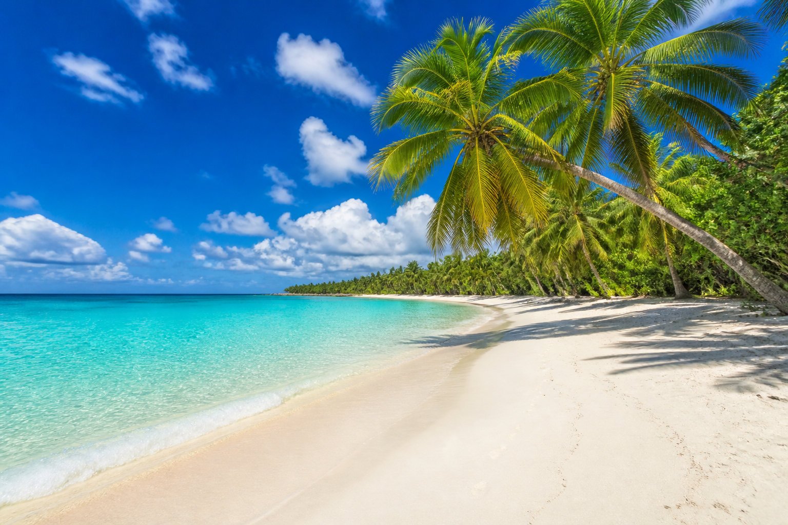 Les plages de Carlisle Bay pour la détente