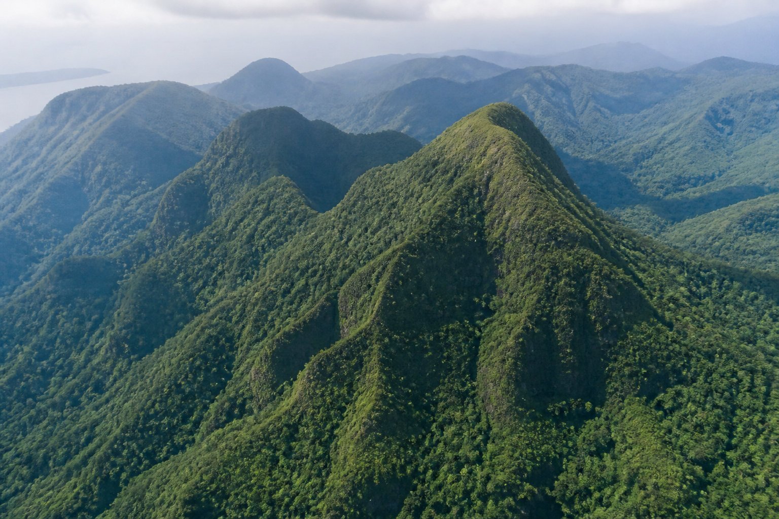 Pourquoi le parc national Morne Trois Pitons est un trésor mondial
