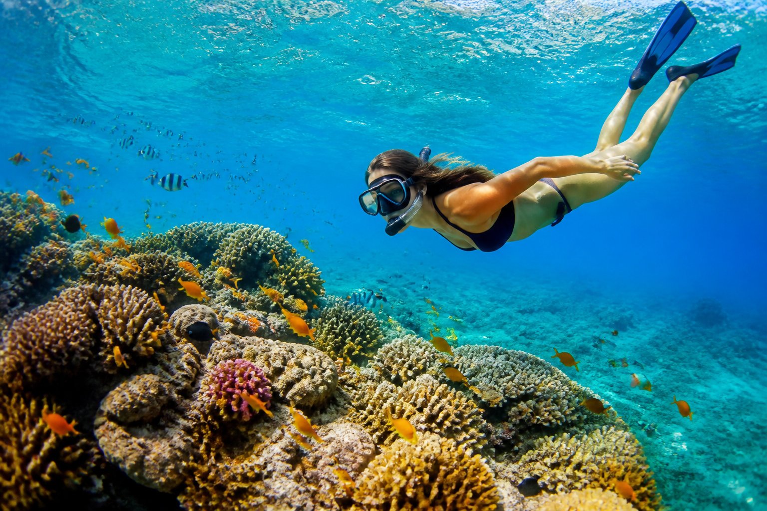 Darkwood Bay : le repaire favori des amateurs de snorkeling