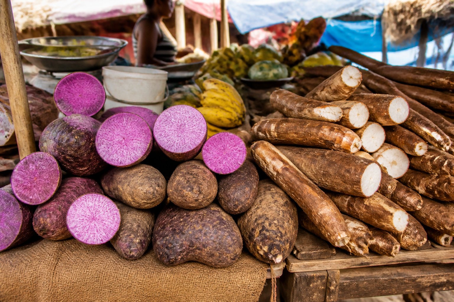 Les secrets de la terre et des épices antillaises