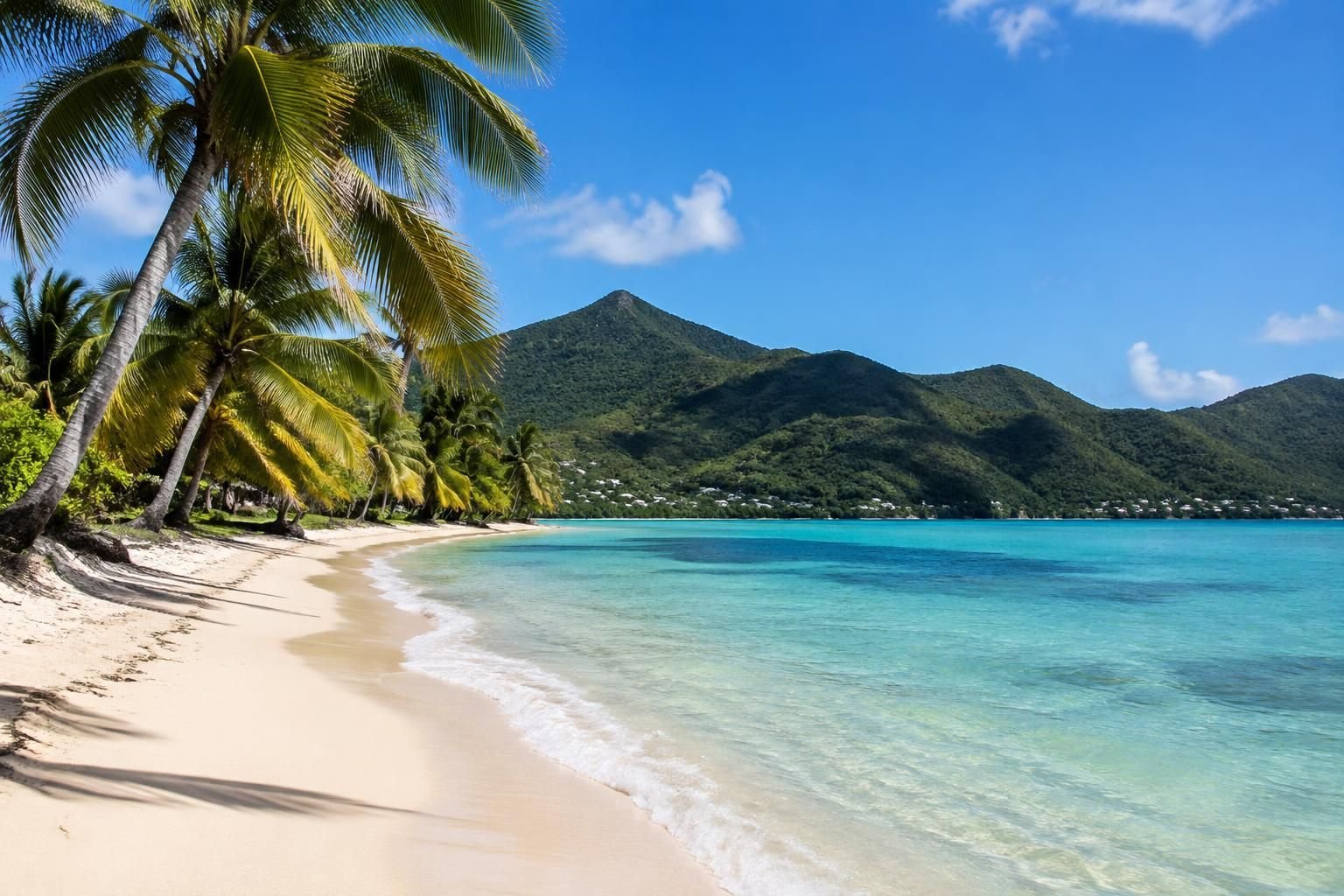 Découvrez 5 plages incontournables de Martinique, entre sable blanc, eaux turquoise et paysages préservés, pour profiter pleinement de votre séjour.