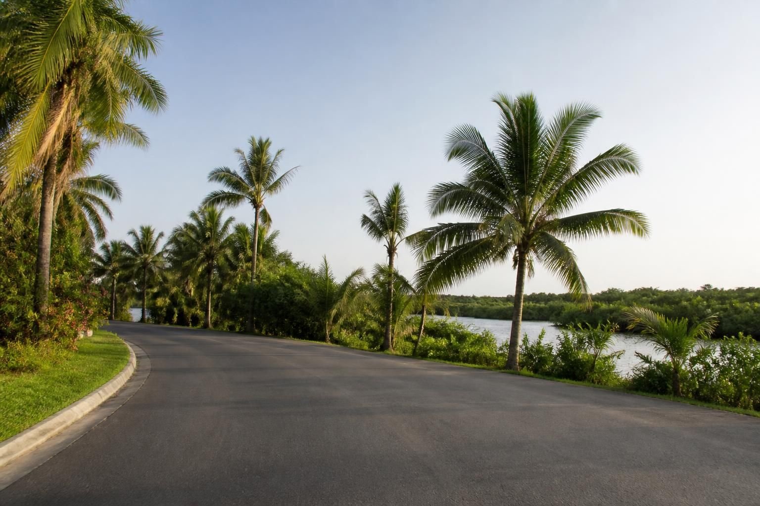 Découvrez les activités incontournables à Punta Cana au-delà de ses plages paradisiaques : excursions nature, culture locale, gastronomie et aventures uniques pour un séjour complet.