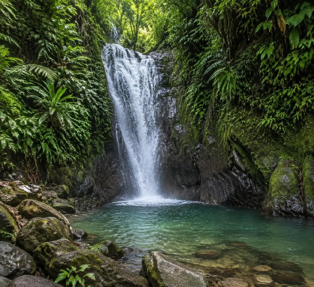 découvrez 6 magnifiques cascades en martinique où vous baigner, profiter de bassins naturels et explorer les plus beaux paysages de l’île.
