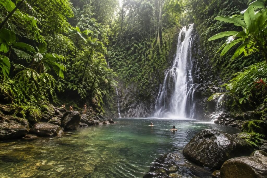 découvrez 6 magnifiques cascades en martinique où vous baigner, avec des eaux rafraîchissantes et des paysages tropicaux à couper le souffle.