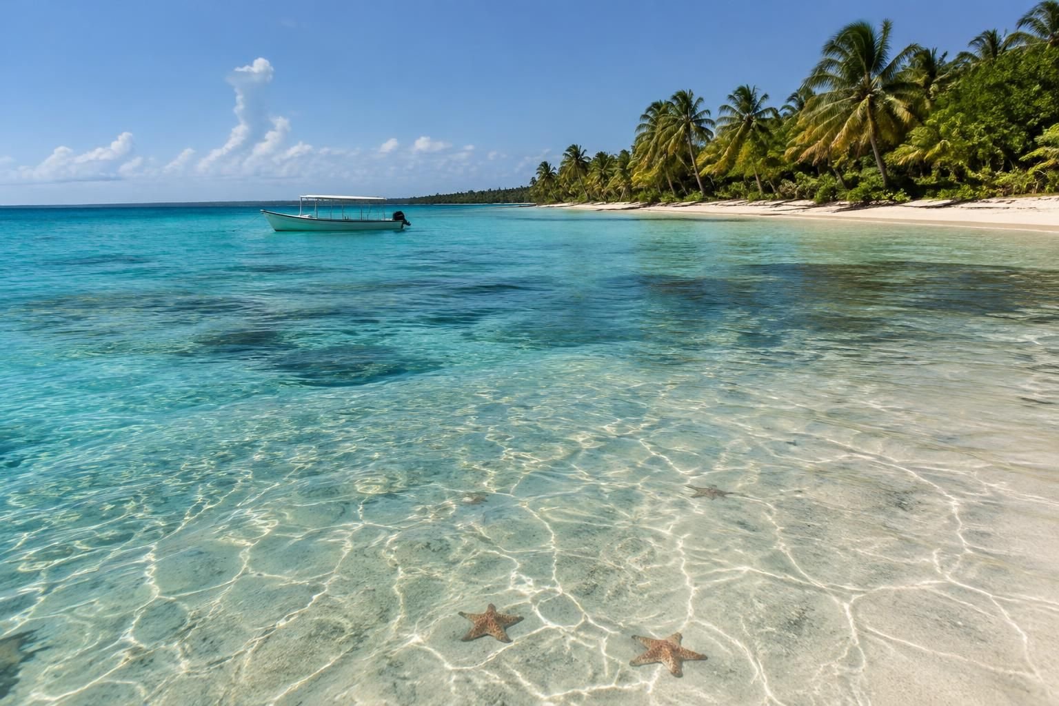 découvrez comment visiter l’île de saona en république dominicaine : excursions, plages paradisiaques, conseils pratiques et meilleure période.